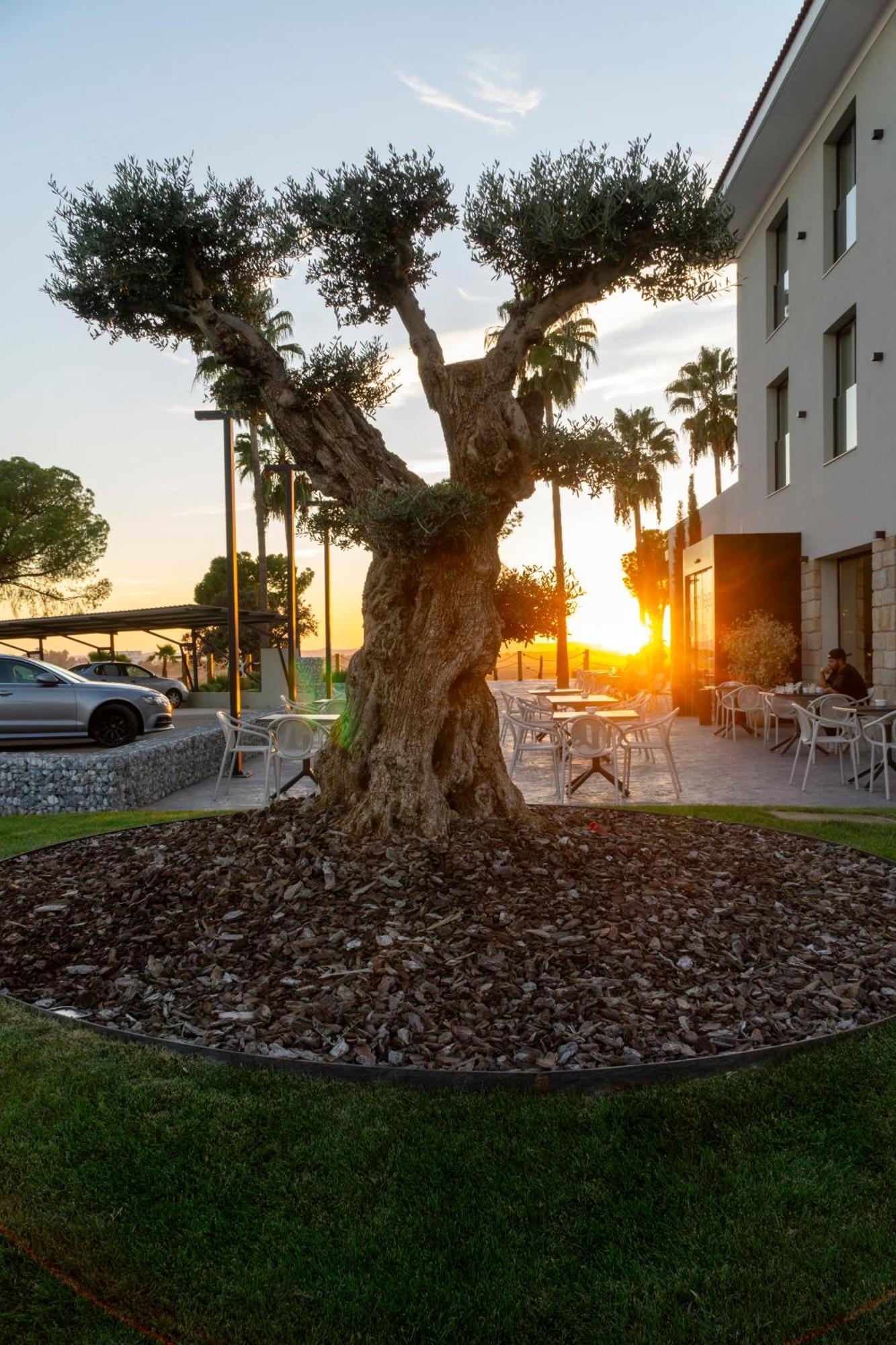 Hotel Rural Finca La Desa Miajadas ภายนอก รูปภาพ
